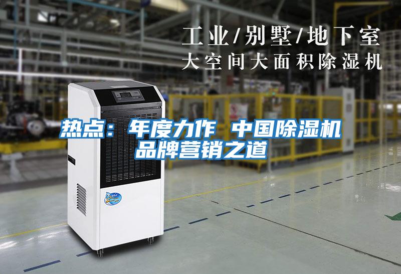 熱點(diǎn):年度力作 中國(guó)除濕機(jī)品牌營(yíng)銷之道