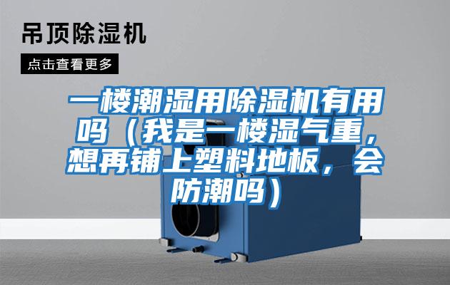 一樓潮濕用除濕機有用嗎（我是一樓濕氣重，想再鋪上塑料地板，會防潮嗎）