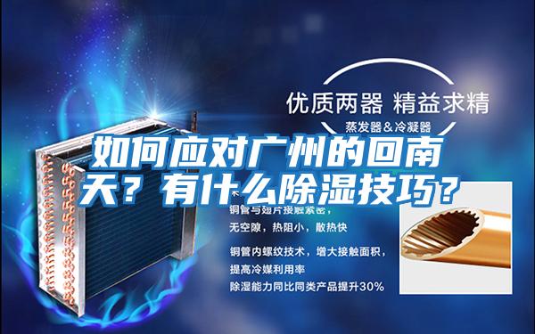 如何應對廣州的回南天？有什么除濕技巧？