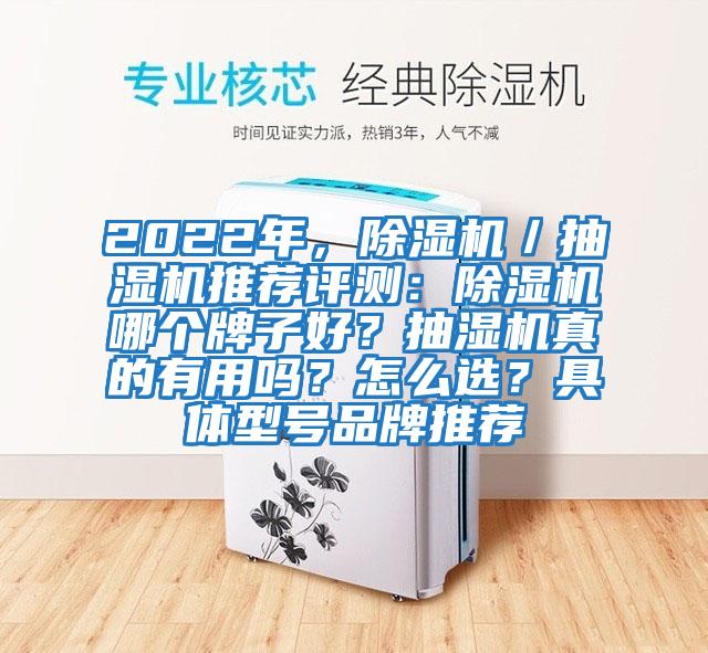 2022年，除濕機(jī)／抽濕機(jī)推薦評測：除濕機(jī)哪個(gè)牌子好？抽濕機(jī)真的有用嗎？怎么選？具體型號(hào)品牌推薦