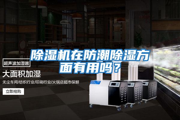 除濕機在防潮除濕方面有用嗎?