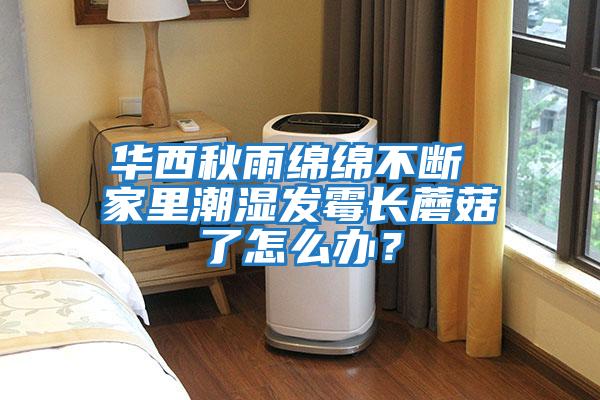 華西秋雨綿綿不斷 家里潮濕發(fā)霉長(zhǎng)蘑菇了怎么辦？