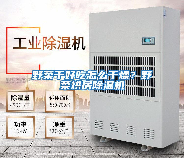 野菜干好吃怎么干燥？野菜烘房除濕機(jī)