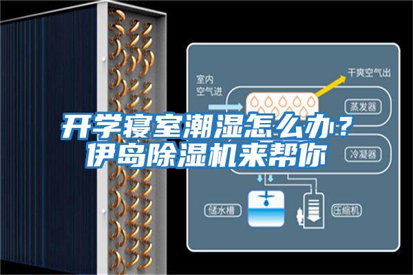 開學(xué)寢室潮濕怎么辦?伊島除濕機(jī)來幫你