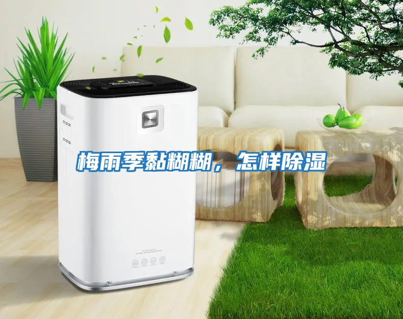 梅雨季黏糊糊,怎樣除濕