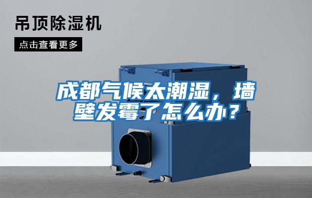 成都氣候太潮濕，墻壁發(fā)霉了怎么辦？