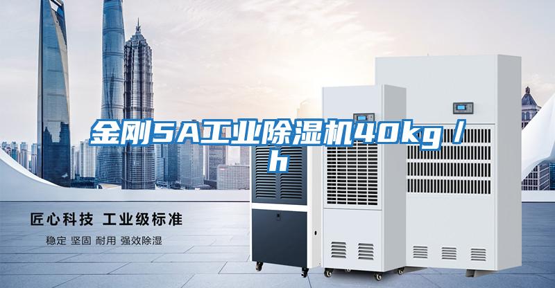 金剛5A工業除濕機40kg/h