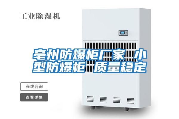 亳州防爆柜廠家 小型防爆柜 質量穩定