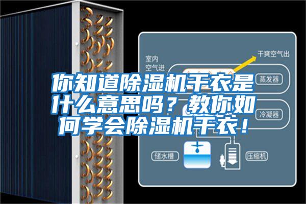 你知道除濕機干衣是什么意思嗎？教你如何學會除濕機干衣！