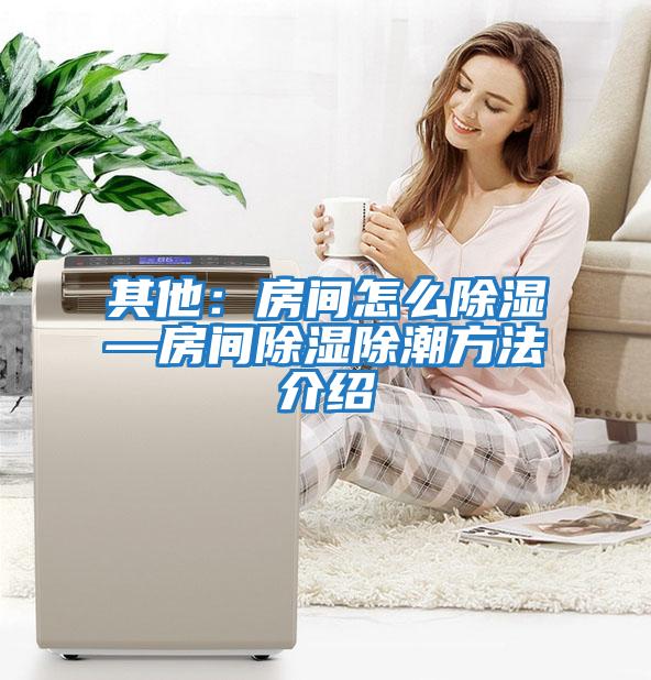 其他:房間怎么除濕—房間除濕除潮方法介紹