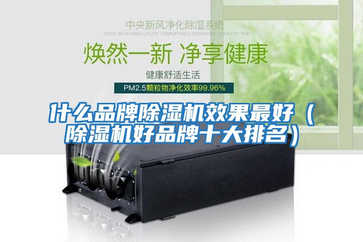 什么品牌除濕機效果最好(除濕機好品牌十大排名)