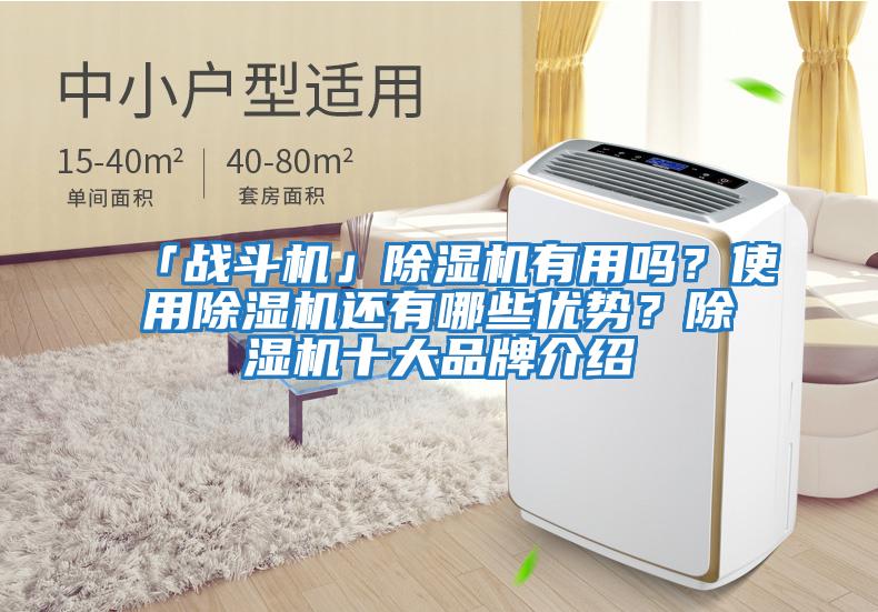 「戰(zhàn)斗機(jī)」除濕機(jī)有用嗎？使用除濕機(jī)還有哪些優(yōu)勢？除濕機(jī)十大品牌介紹