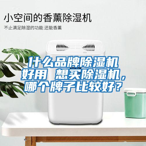 什么品牌除濕機(jī)好用 想買除濕機(jī)，哪個(gè)牌子比較好？