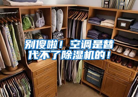 別傻啦!空調是替代不了除濕機的!