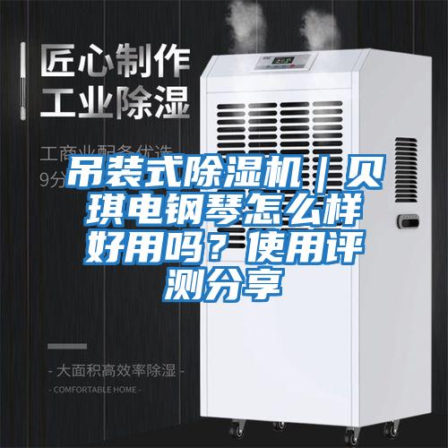 吊裝式除濕機(jī)|貝琪電鋼琴怎么樣好用嗎?使用評測分享