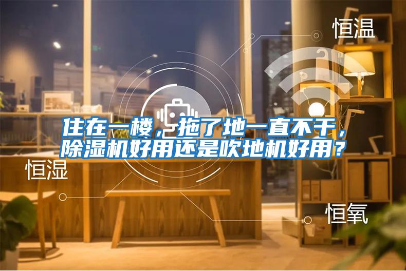 住在一樓，拖了地一直不干，除濕機好用還是吹地機好用？