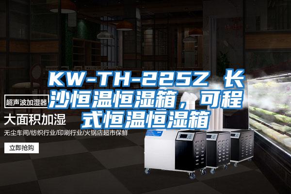 KW-TH-225Z 長沙恒溫恒濕箱，可程式恒溫恒濕箱