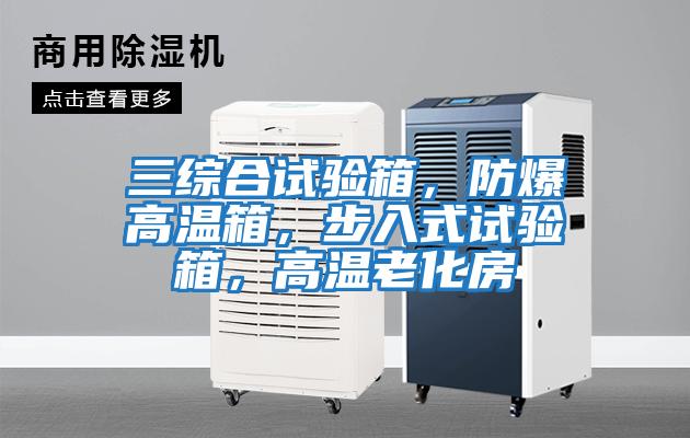 三綜合試驗(yàn)箱，防爆高溫箱，步入式試驗(yàn)箱，高溫老化房