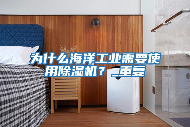為什么海洋工業(yè)需要使用除濕機？_重復
