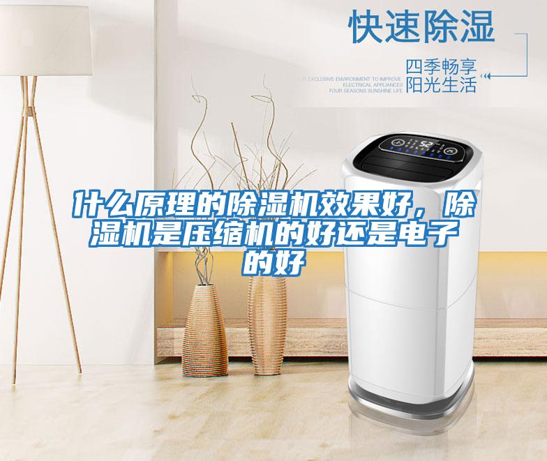 什么原理的除濕機效果好,除濕機是壓縮機的好還是電子的好