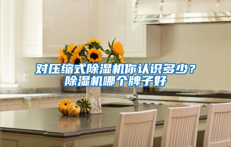 對壓縮式除濕機你認識多少？除濕機哪個牌子好