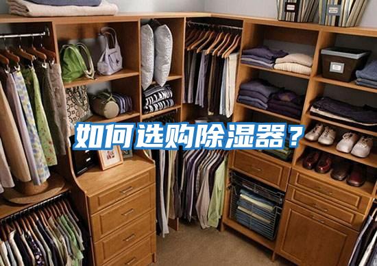 如何選購除濕器？