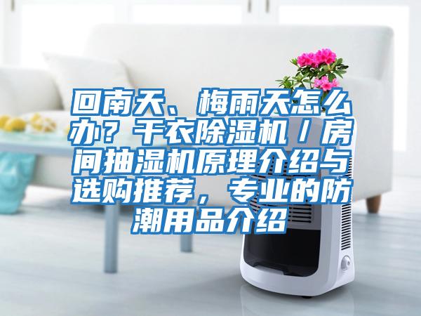 回南天、梅雨天怎么辦？干衣除濕機(jī)／房間抽濕機(jī)原理介紹與選購(gòu)?fù)扑]，專業(yè)的防潮用品介紹