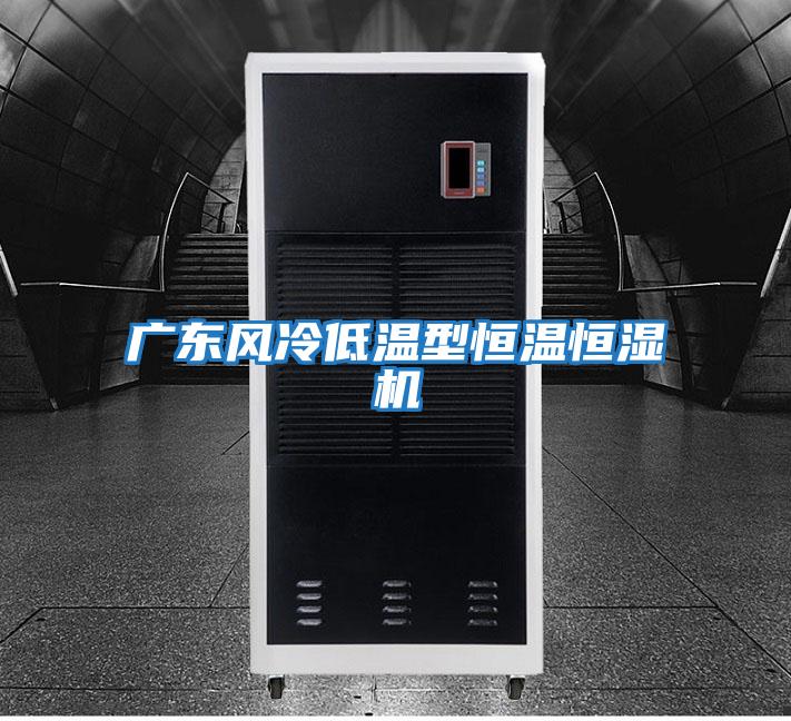 廣東風冷低溫型恒溫恒濕機