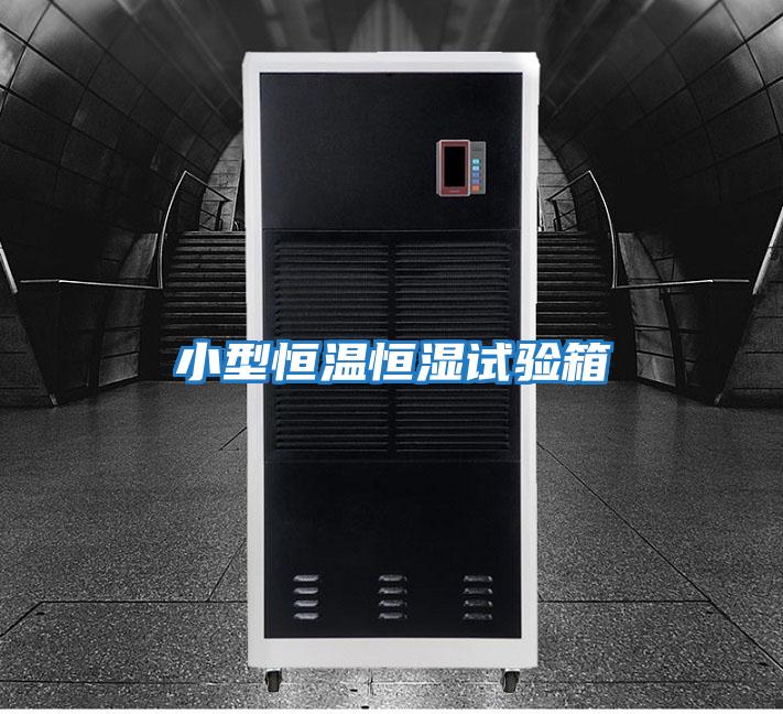 小型恒溫恒濕試驗箱