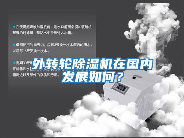 外轉輪除濕機在國內發展如何？