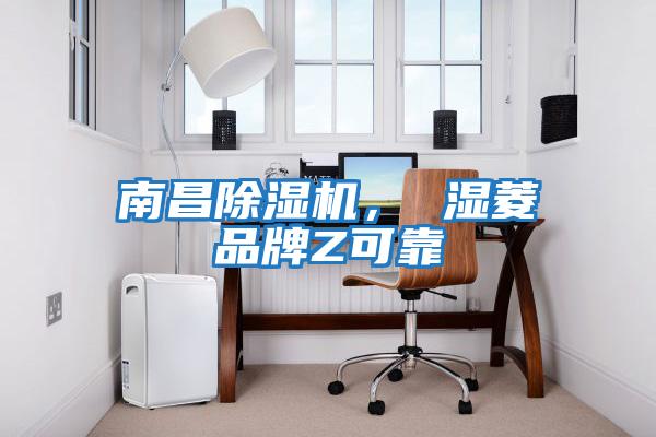 南昌除濕機(jī)， 濕菱品牌Z可靠