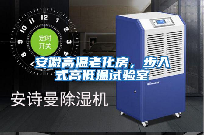 安徽高溫老化房，步入式高低溫試驗室
