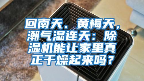 回南天、黃梅天,潮氣濕連天:除濕機(jī)能讓家里真正干燥起來嗎?