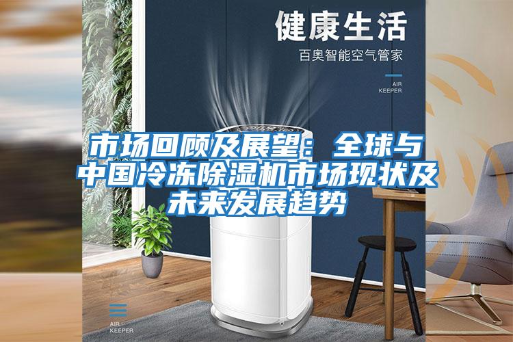 市場回顧及展望:全球與中國冷凍除濕機(jī)市場現(xiàn)狀及未來發(fā)展趨勢