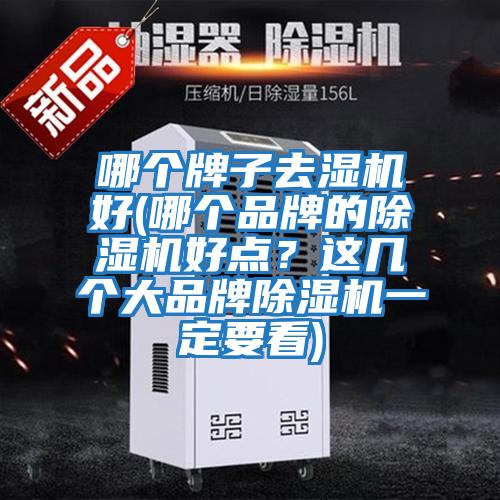 哪個(gè)牌子去濕機(jī)好(哪個(gè)品牌的除濕機(jī)好點(diǎn)？這幾個(gè)大品牌除濕機(jī)一定要看)