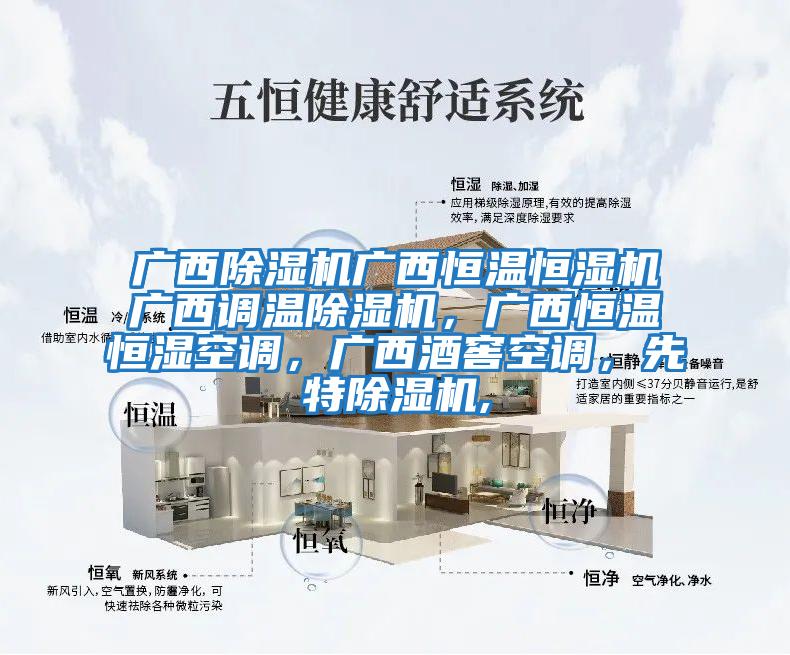 廣西除濕機廣西恒溫恒濕機廣西調溫除濕機,廣西恒溫恒濕空調,廣西酒窖空調,先特除濕機,