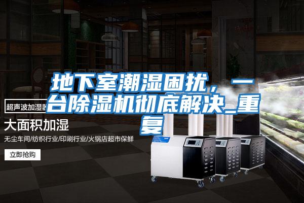 地下室潮濕困擾,一臺除濕機徹底解決_重復