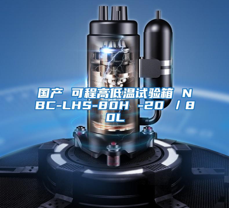 國產(chǎn) 可程高低溫試驗(yàn)箱 NBC-LHS-80H -20℃/80L