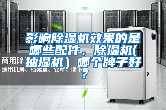 影響除濕機(jī)效果的是哪些配件,除濕機(jī)(抽濕機(jī))哪個(gè)牌子好?