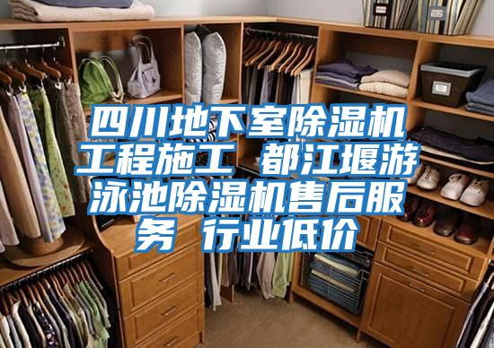 四川地下室除濕機工程施工 都江堰游泳池除濕機售后服務 行業低價