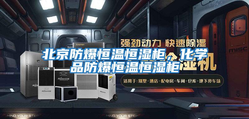 北京防爆恒溫恒濕柜，化學(xué)品防爆恒溫恒濕柜