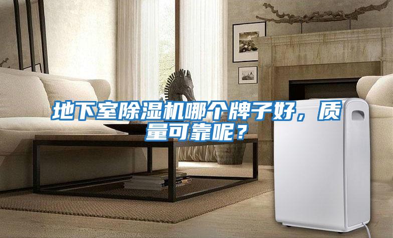地下室除濕機哪個牌子好，質量可靠呢？