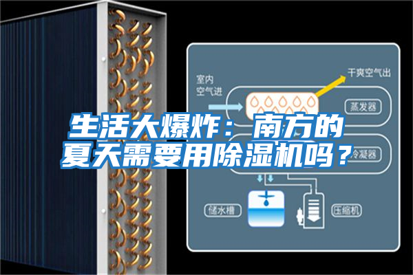 生活大爆炸：南方的夏天需要用除濕機(jī)嗎？