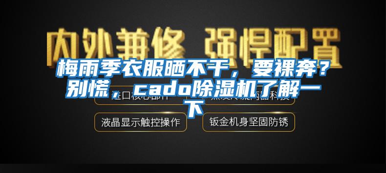 梅雨季衣服曬不干，要裸奔？別慌，cado除濕機了解一下