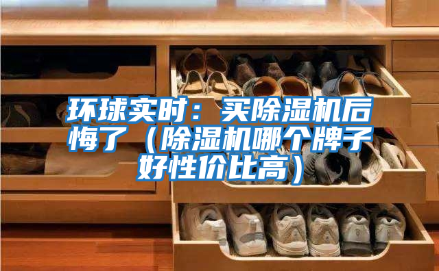 環(huán)球?qū)崟r：買除濕機后悔了（除濕機哪個牌子好性價比高）