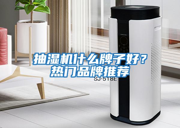 抽濕機什么牌子好？熱門品牌推薦