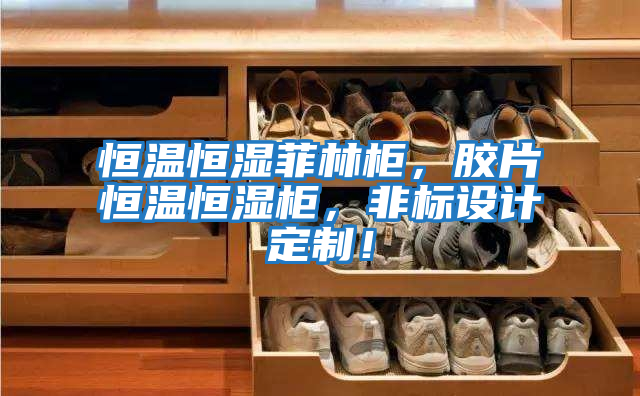 恒溫恒濕菲林柜,膠片恒溫恒濕柜,非標設(shè)計定制!