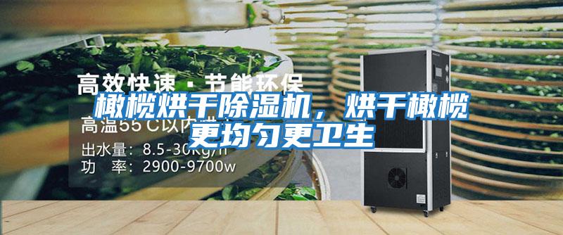 橄欖烘干除濕機,烘干橄欖更均勻更衛生