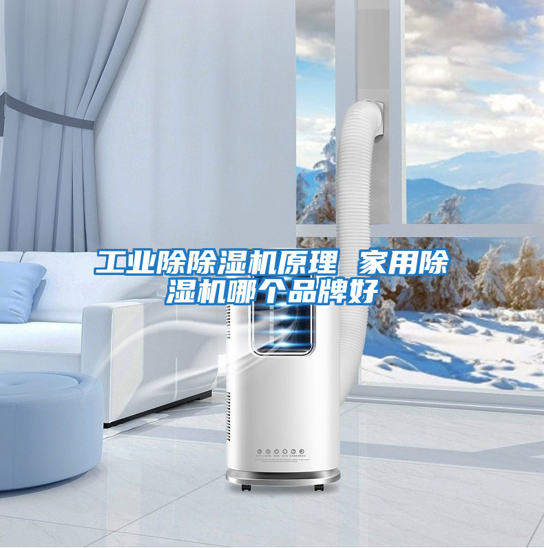 工業(yè)除除濕機原理 家用除濕機哪個品牌好