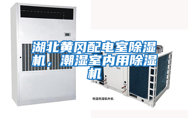 湖北黃岡配電室除濕機，潮濕室內用除濕機